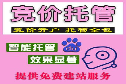 案例解析：SEM专员如何提升ROI