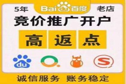 SEM运营策略：从零到一的流量增长案例